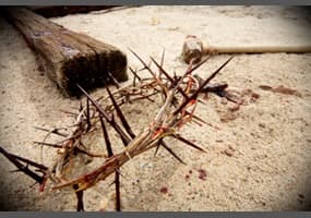 crucifixion – Institutionalized outbreak