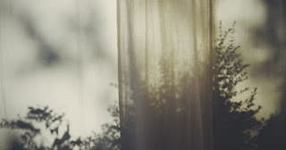 July 15 – Monday – Why God Hides? – Wilson SVD