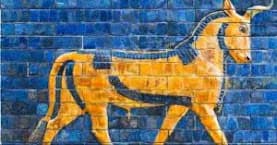 July 08, Monday: Who/what is my Baal? - Wilson SVD