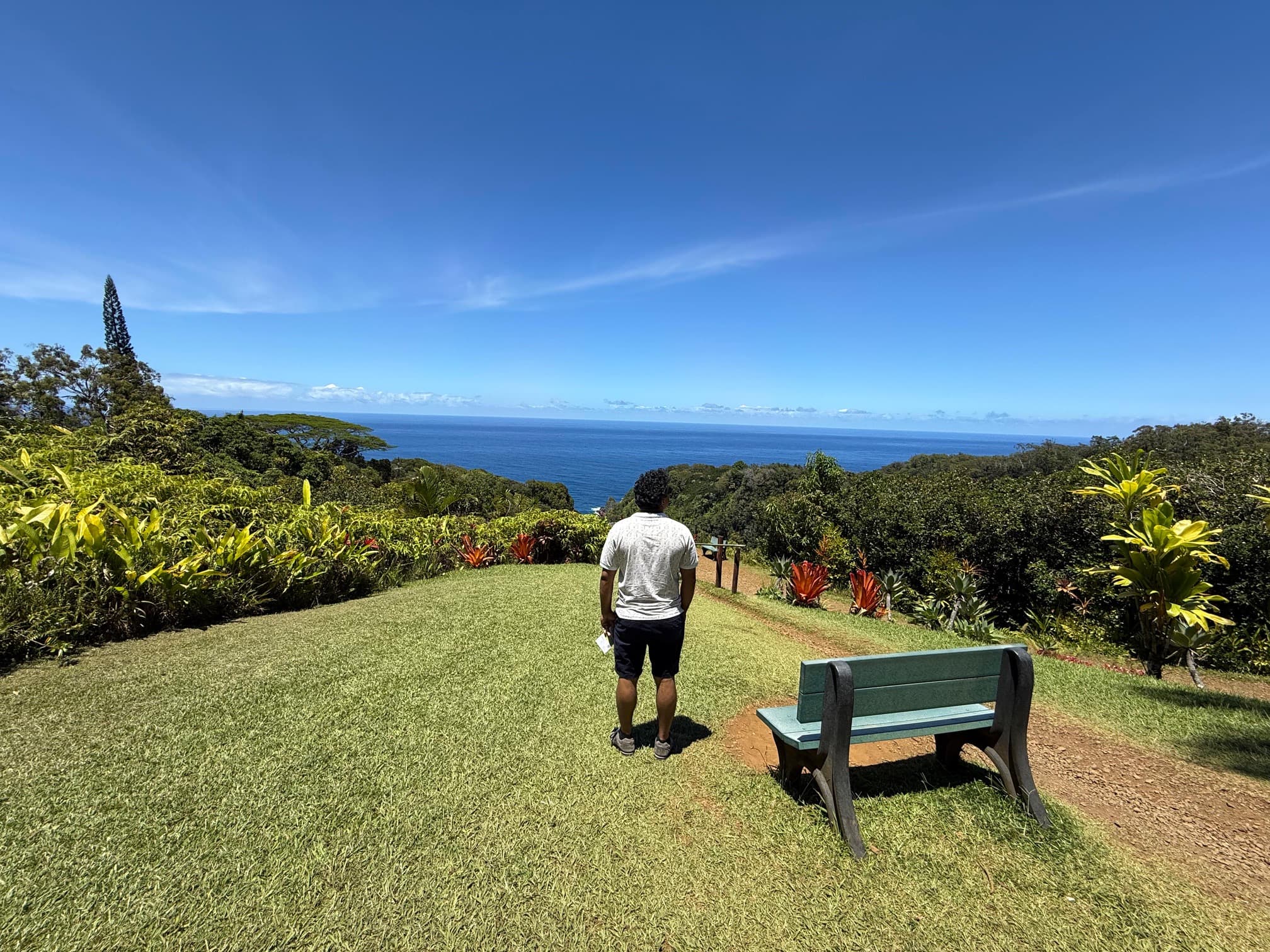 March 01, 26 – 2nd Sunday of Lent, Transfiguration – A Pause and a Checkpoint