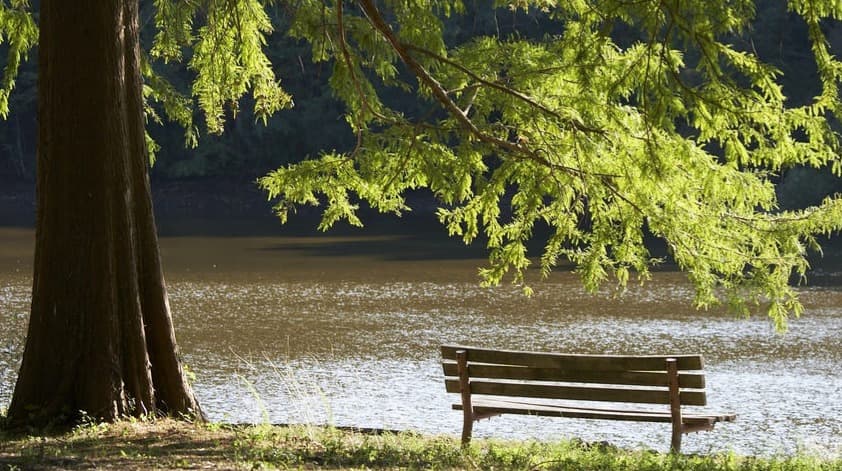 March 05, 26 Thursday of 2nd week of Lent: Location Makes a Difference